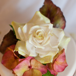 Сахарные цветы - кремовая роза и гортензия. Код: ЦС-010